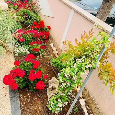 Apartment Barbara Vir