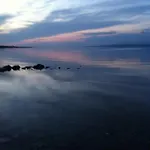 Barbara *